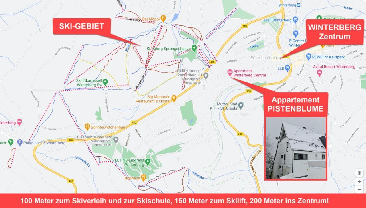 Pistenblume Apartment - Skipiste, Stadtzentrum Winterberg Eksteriør billede