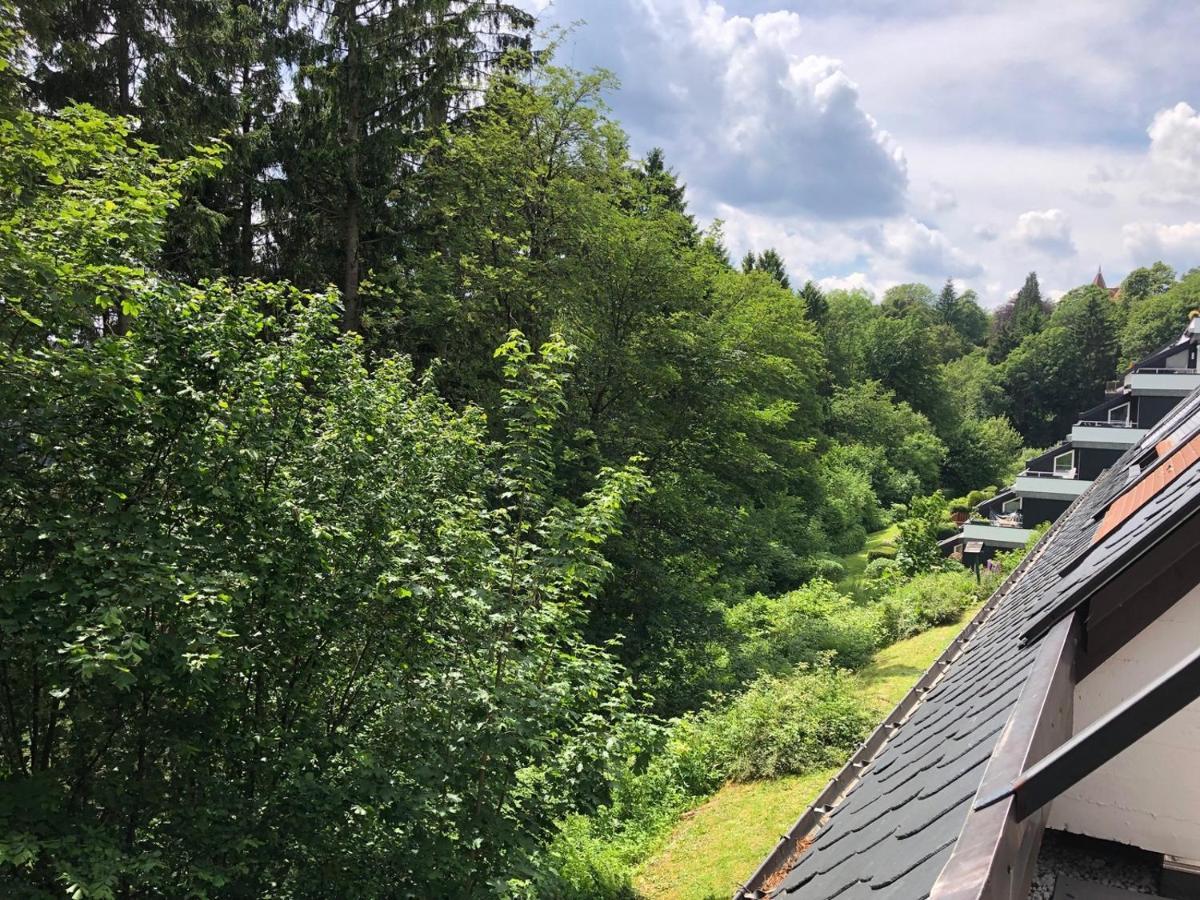 Pistenblume Apartment - Skipiste, Stadtzentrum Winterberg Eksteriør billede